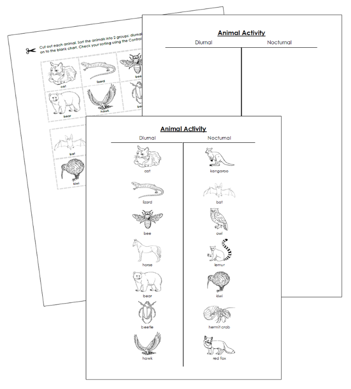 Animal Activity Nocturnal or Diurnal Blackine Masters - Montessori Print Shop Digital Download
