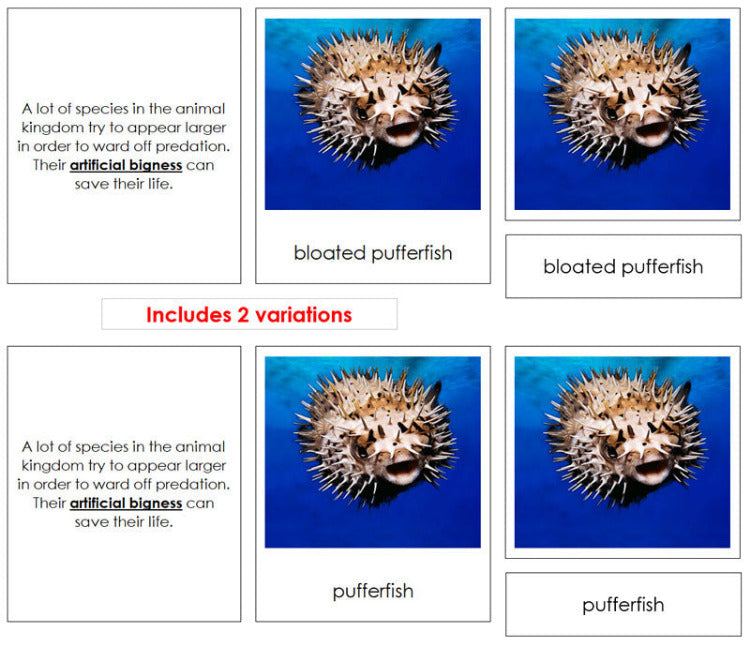 Animal Adaptations Sorting - Montessori Print Shop Digital Download