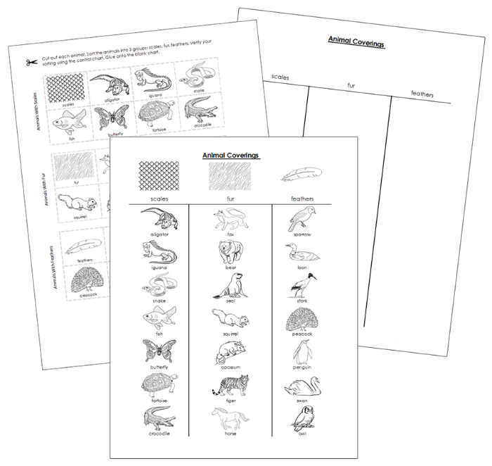 Animal Coverings Sorting Cut & Paste (Blackline Masters) - Montessori Print Shop Digital Download