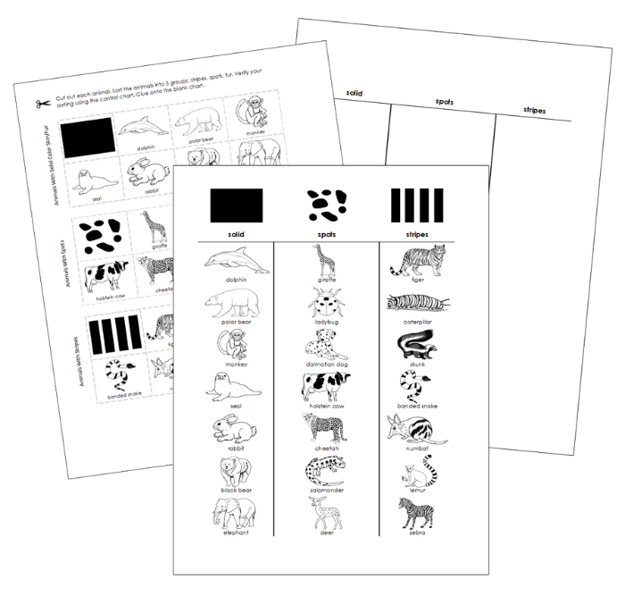 Animal Coverings (Stripes, Spots, Solid) Cut & Paste Activity - Montessori Print Shop Digital Download