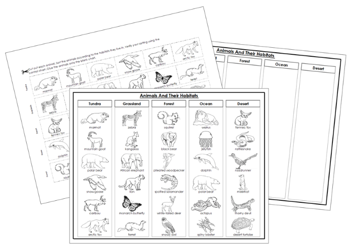 Animals And Their Habitats Sorting Cut & Paste (Blackline Masters) - Montessori Print Shop Digital Download
