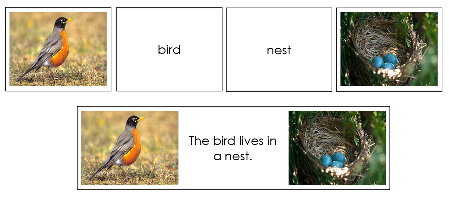 Animals And Their Homes Matching Cards - Montessori Print Shop Digital Download