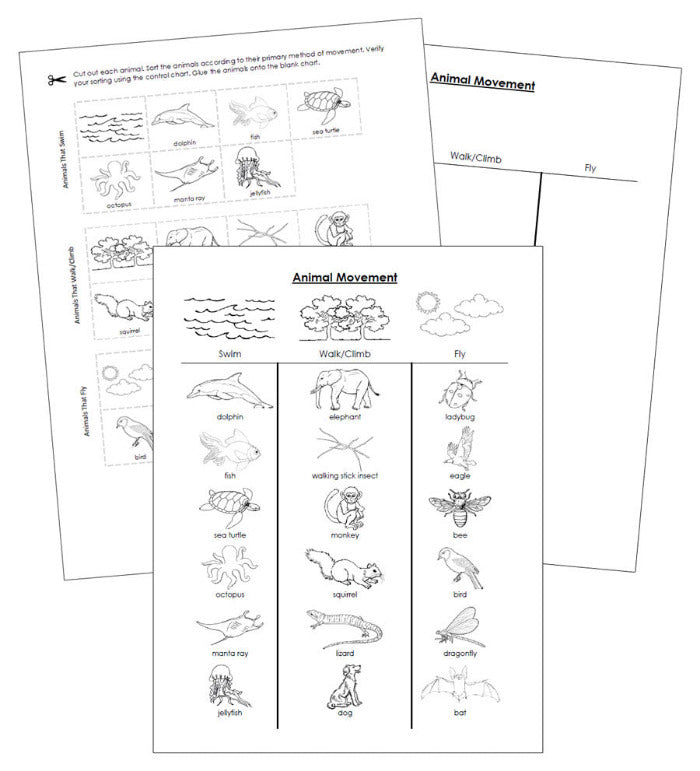 Animal Movement (Swim, Walk, Fly) Sorting Cut & Paste Montessori Print Shop Digital Download