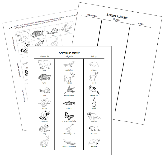 Animals In Winter Cut & Paste (blackline masters) - Montessori Print Shop Digital Download