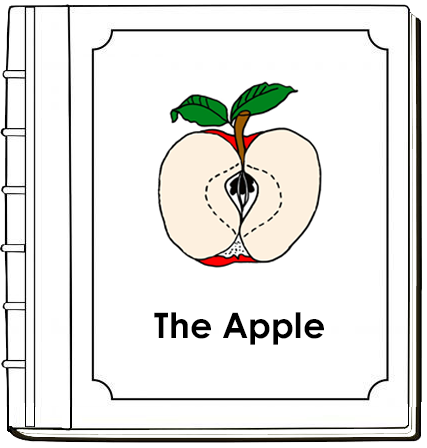 Parts of an Apple Nomenclature Book (red) - Montessori Print Shop Digital Download