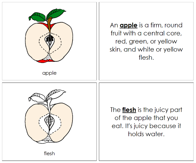 Parts of an Apple Nomenclature Book - Montessori Print Shop Digital Download