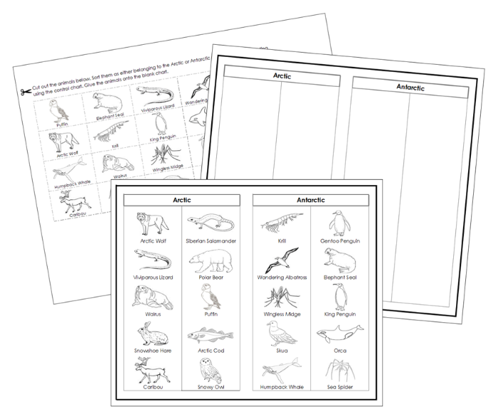 Arctic and Antarctic Animal Sorting Cut & Paste (Blackline Masters) - Montessori Print Shop Digital Download