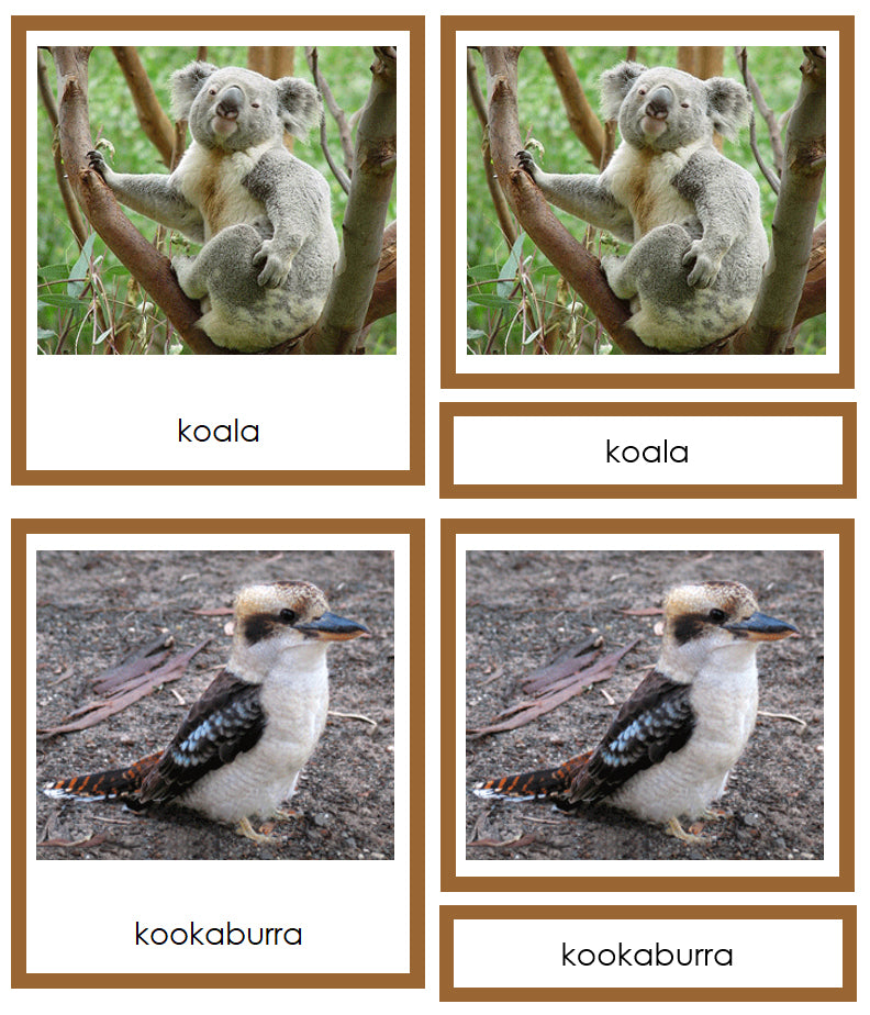 Animals of Australia/Oceania 3-Part Cards by Montessori Print Shop