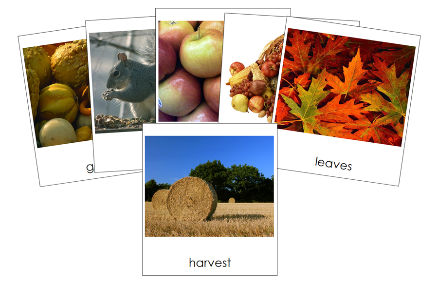 Autumn Season 3-Part Cards - Montessori Print Shop