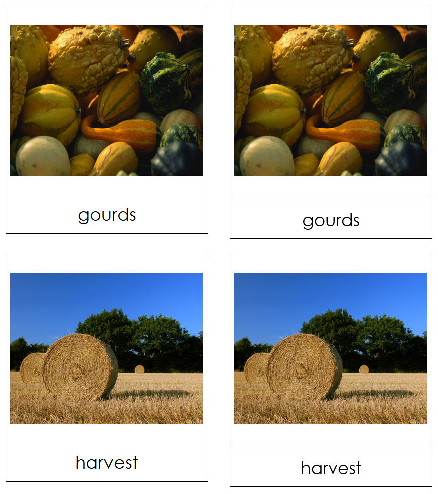 Autumn Season 3-Part Cards - Montessori Print Shop