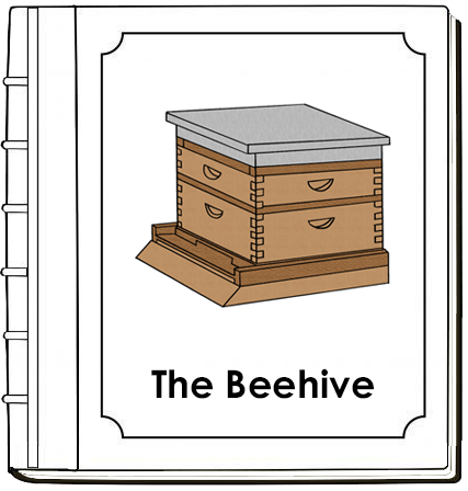 Beehive Nomenclature Book - Montessori Print Shop Digital Download