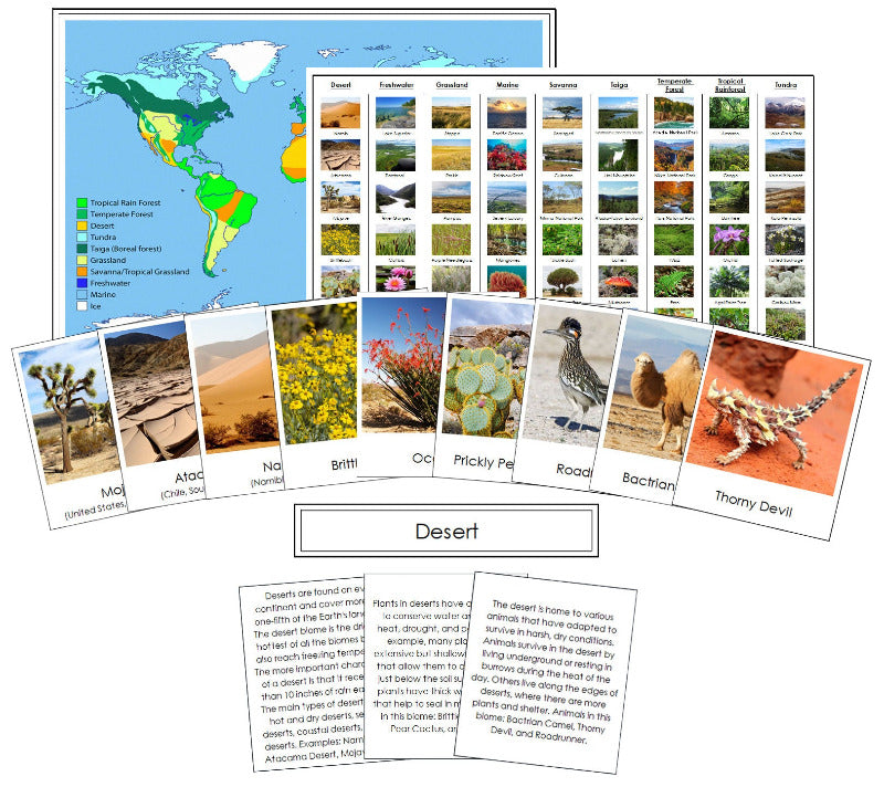 Biomes of the World - Montessori Print Shop Digital Download