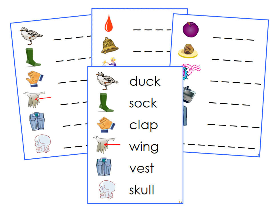 Montessori Blue Spelling Cards - Montessori language cards - Montessori Print Shop
