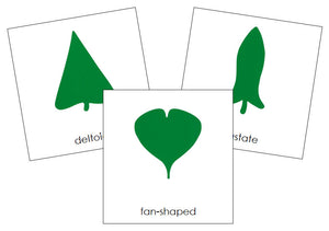 Botany Cabinet Leaf Shape Cards - Montessori Print Shop