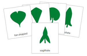 Plant Lessons - Montessori Print Shop