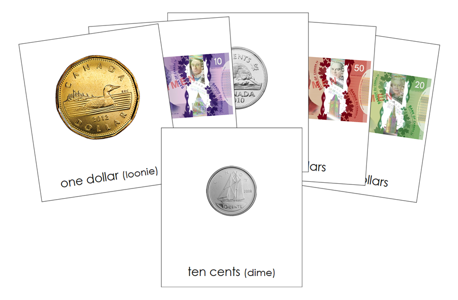 Canadian Currency 3-Part Cards by Montessori Print Shop