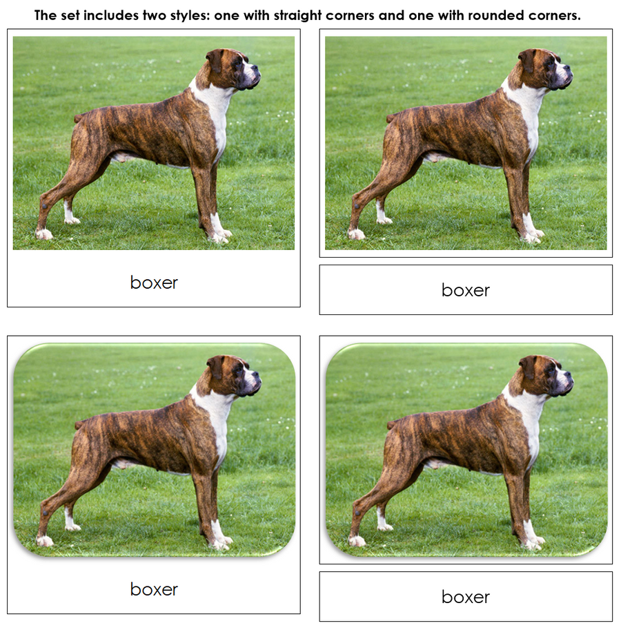 Dogs Safari Toob Cards by Montessori Print Shop