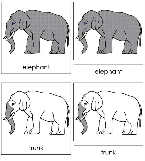 Parts of an Elephant 3-Part Cards Nomenclature Cards by Montessori Print Shop 