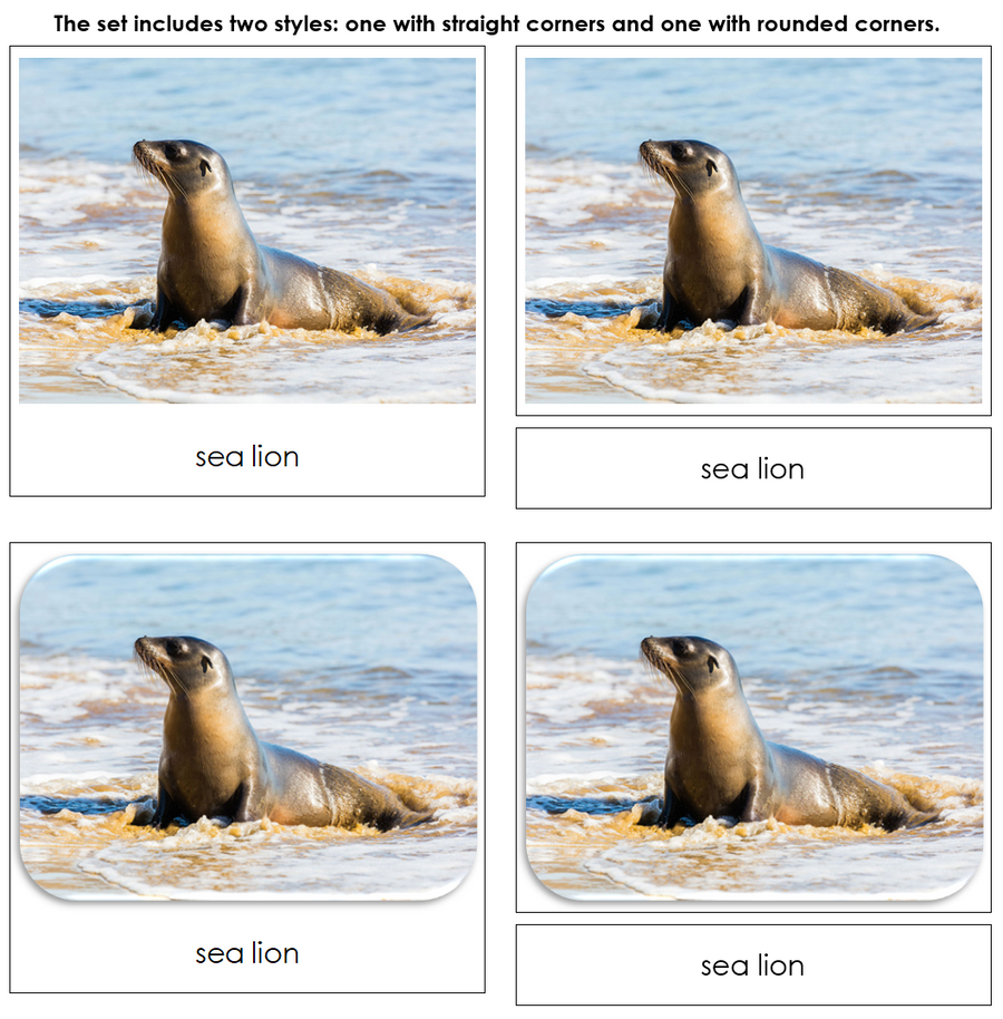Endangered Species (Marine) - Safari Toob Cards by Montessori Print Shop