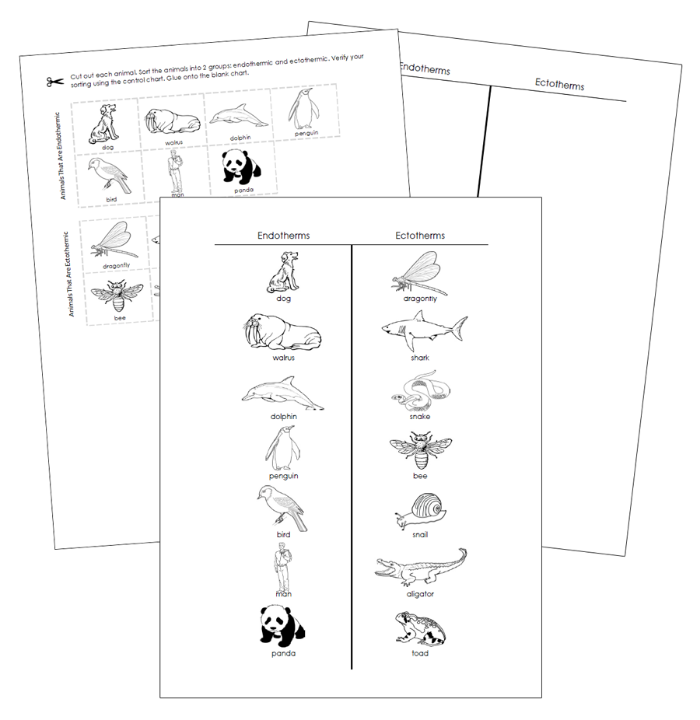 Endothermic and Ectothermic Animals Sorting Cut & Paste - Montessori Print Shop Digital Download