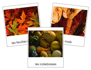 French - Autumn Season - Les cartes de las saison d'hiver - Montessori Print Shop