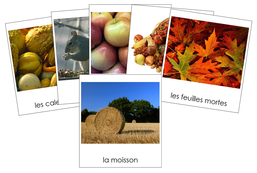 French - Autumn Season - Les cartes de las saison d'hiver - Montessori Print Shop Digital Download