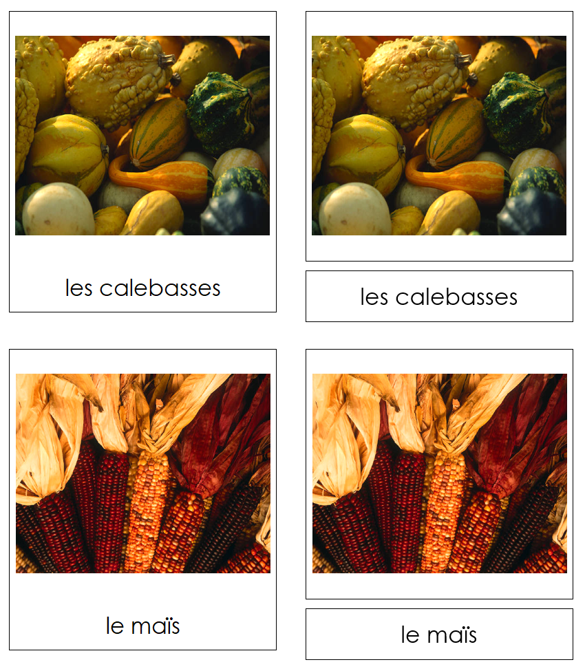 French - Autumn Season - Les cartes de las saison d'hiver - Montessori Print Shop Digital Download