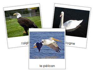 French - Birds - Les cartes oiseau - Montessori Print Shop