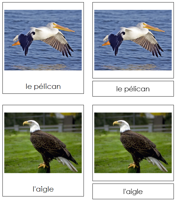 French - Birds - Les cartes oiseau - Montessori Print Shop