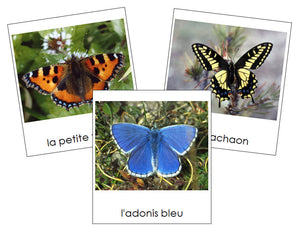 French - Butterflies - Les cartes papillon - Montessori Print Shop