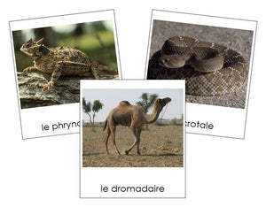 French - Desert Animals - Les cartes d'animaux du désert - Montessori Print Shop
