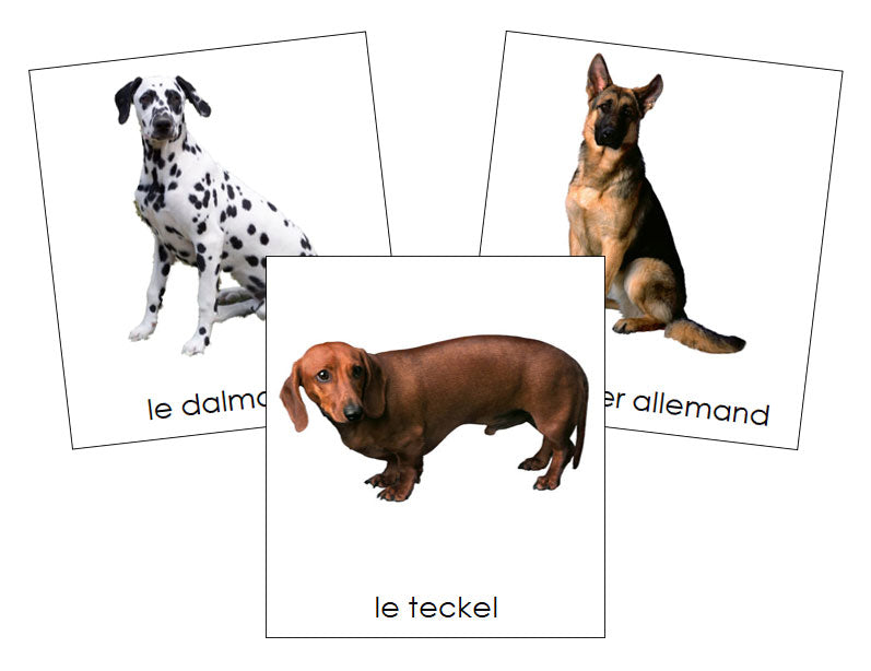 French - Dogs - Les cartes de chien - Montessori Print Shop