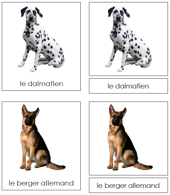 French - Dogs - Les cartes de chien - Montessori Print Shop
