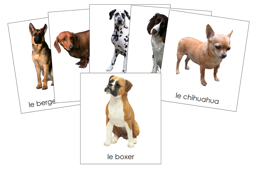French - Dogs - Les cartes de chien - Montessori Print Shop Digital Download