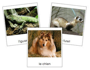 French - Pets - Les animaux familiers - Montessori Print Shop