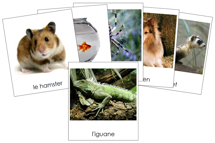 French - Pets - Les animaux familiers - Montessori Print Shop Digital Download