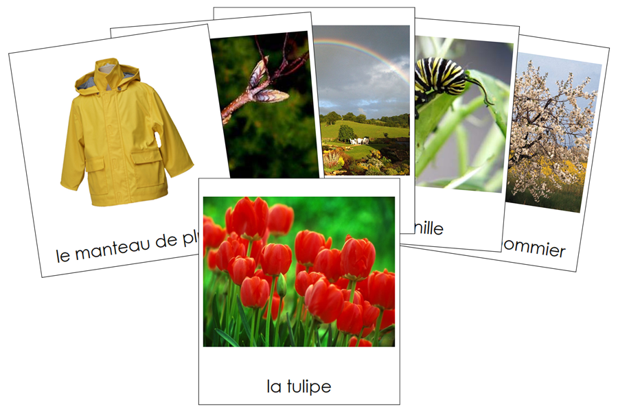 French - Spring Season - Les cartes de saison de printemps - Montessori Print Shop Digital Download