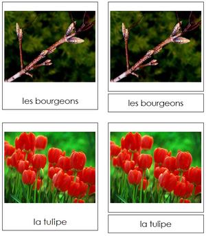 French - Spring Season - Les cartes de saison de printemps - Montessori Print Shop