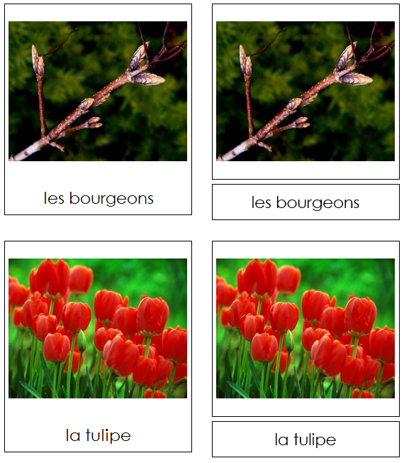 French - Spring Season - Les cartes de saison de printemps - Montessori Print Shop