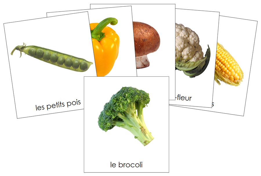 French - Vegetables - Les cartes de légumes - Montessori Print Shop Digital Download