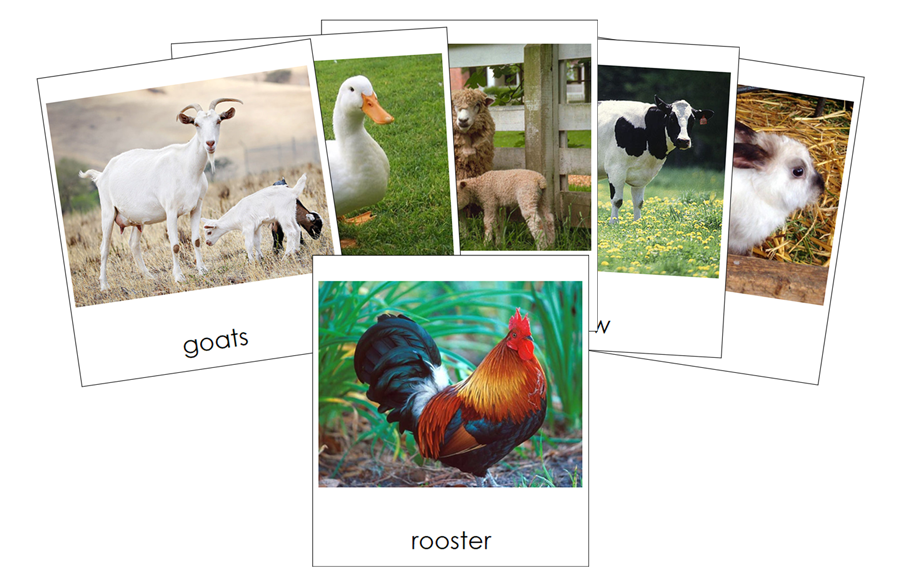 Types of Farm Animals 3-Part Cards by Montessori Print Shop