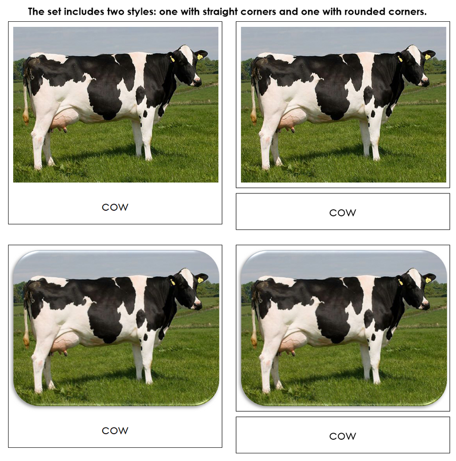 Farm - Safari Toob Cards by Montessori Print Shop