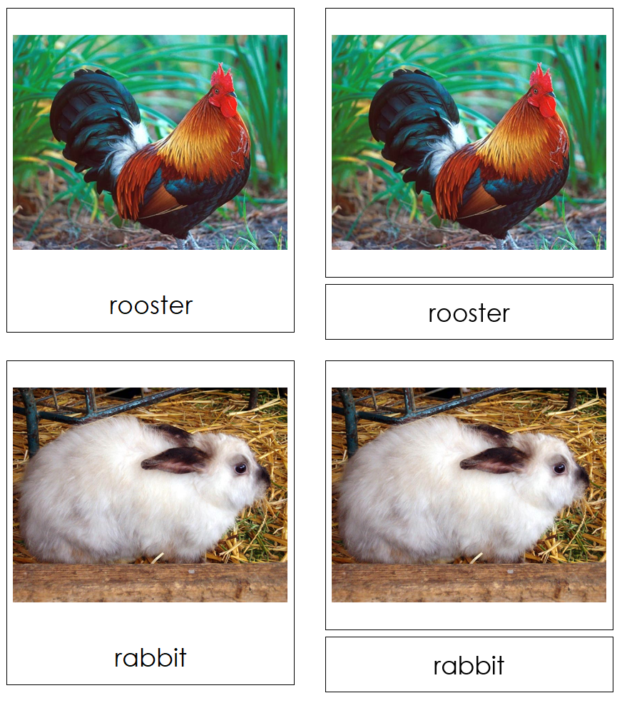 Types of Farm Animals 3-Part Cards by Montessori Print Shop
