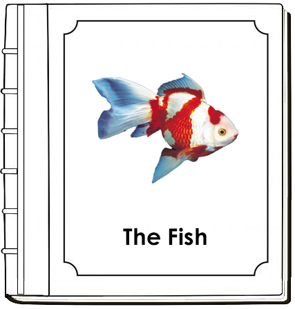 Fish Book - Toddler - Montessori Print Shop Digital Download