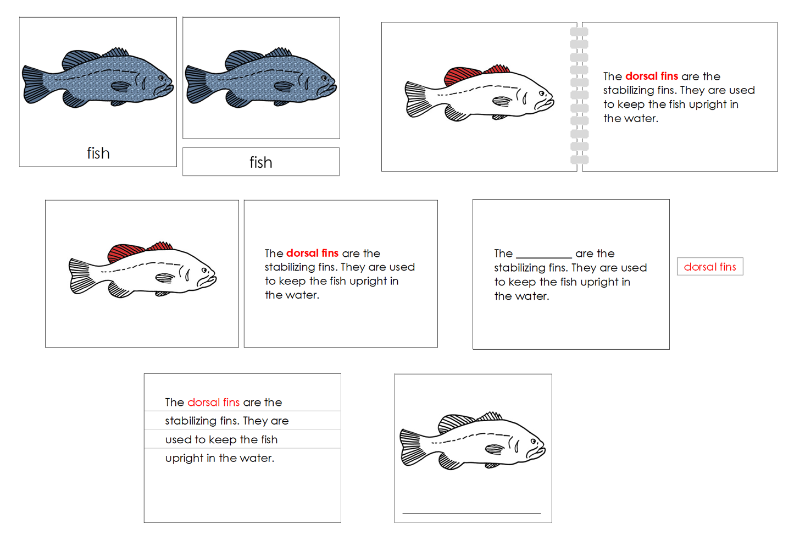Montessori Fish Nomenclature Definition Set - Montessori Print Shop Digital Download