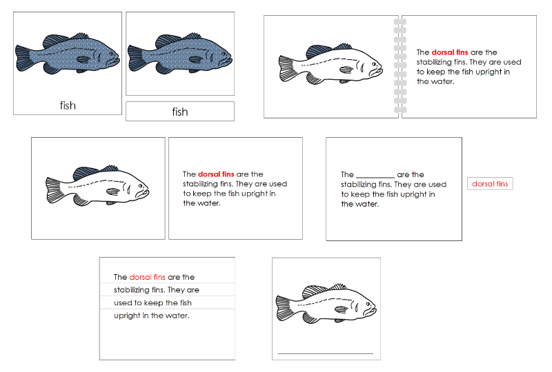 Montessori Fish Nomenclature Definition Set - Montessori Print Shop Digital Download