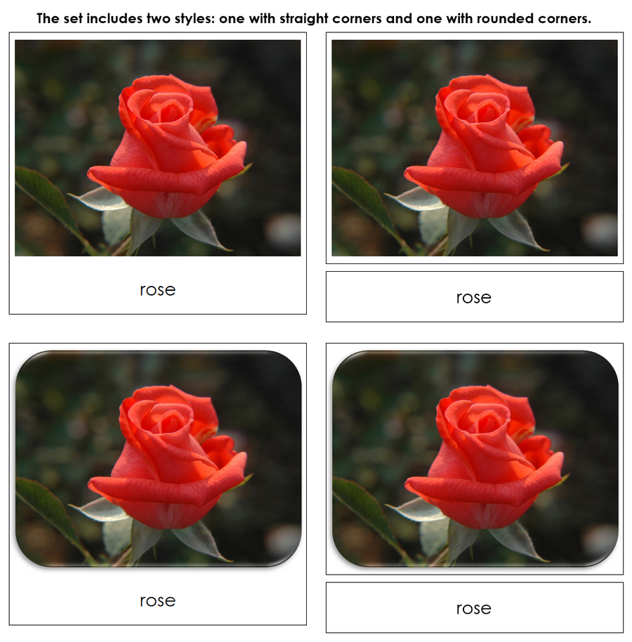 Flowers - Safari Toob Cards by Montessori Print Shop