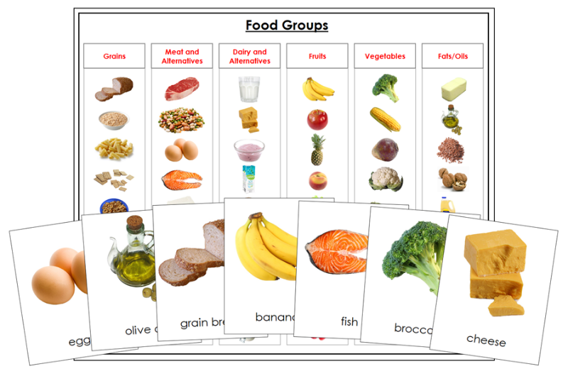 Food Groups Sorting Cards and Chart - Montessori Print Shop Digital Download - health materials