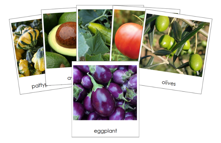 Types of Fruit Vegetables Classified Cards - Montessori Print Shop Digital Download