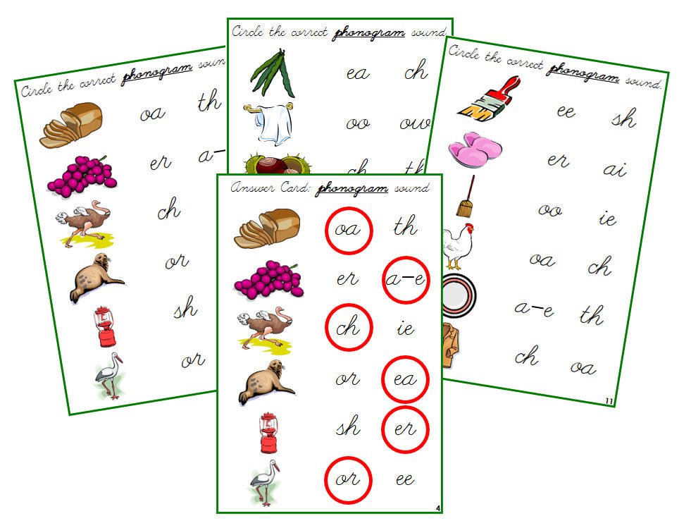 Montessori Green Phonogram Sound Choice Cards - Set 1 - CURSIVE - Montessori Print Shop phonograms lesson